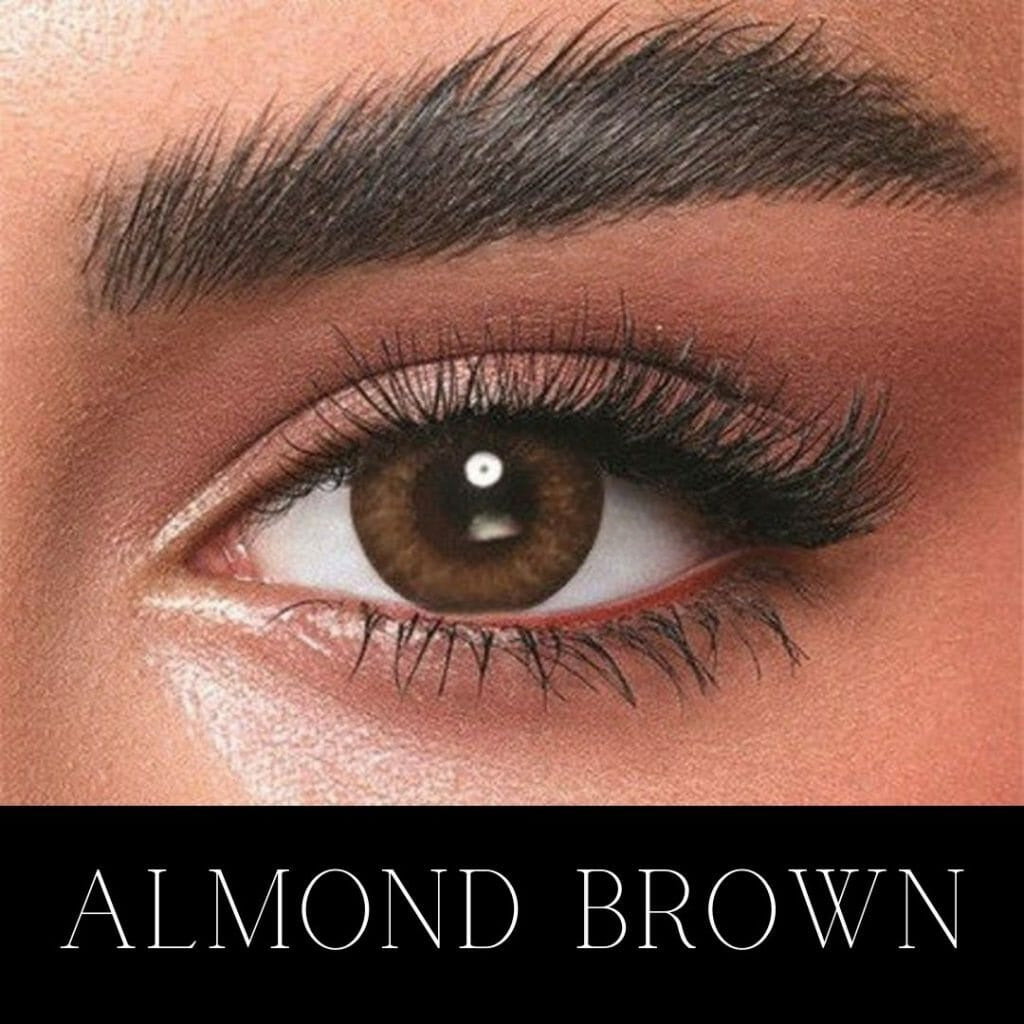 BELLA ALMOND BROWN WITK KIT