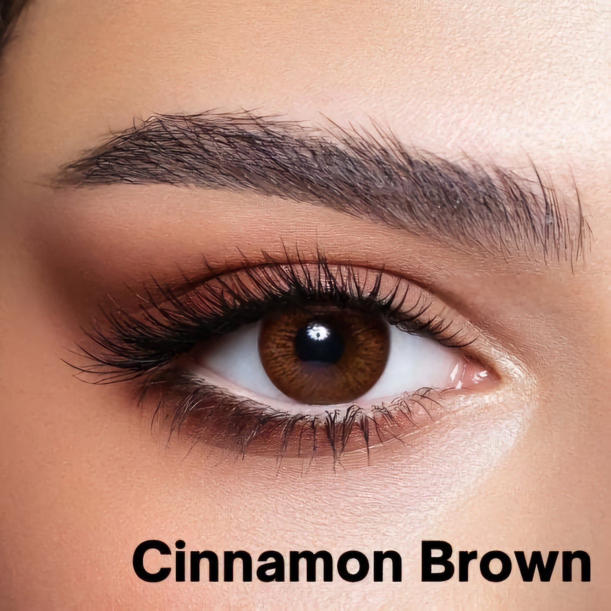 BELLA ELITE CINNAMON BROWN WITH KIT