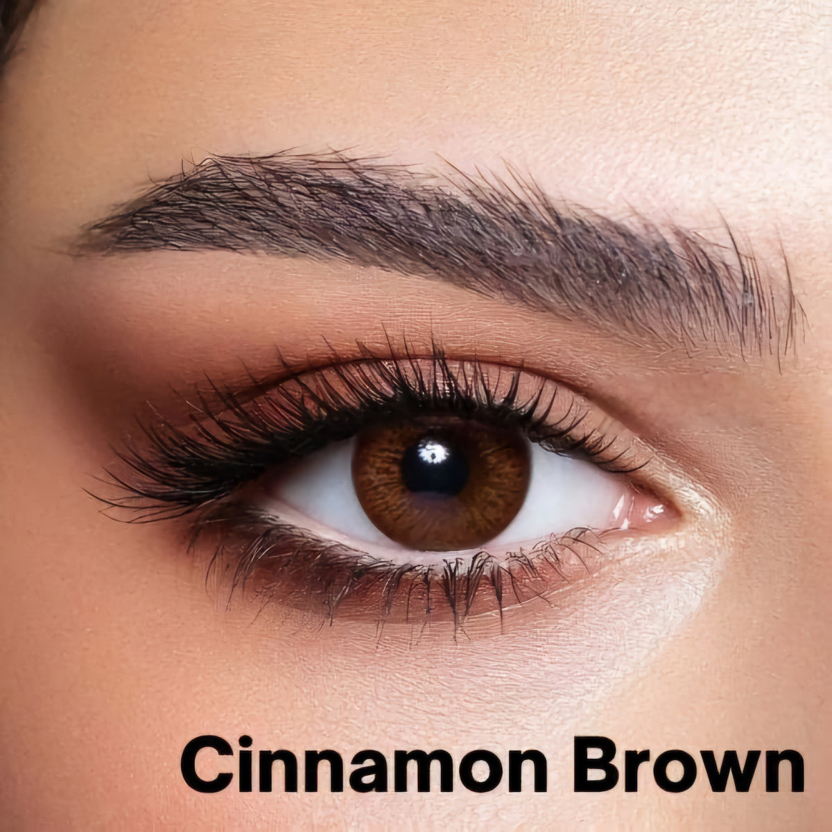 BELLA ELITE CINNAMON BROWN