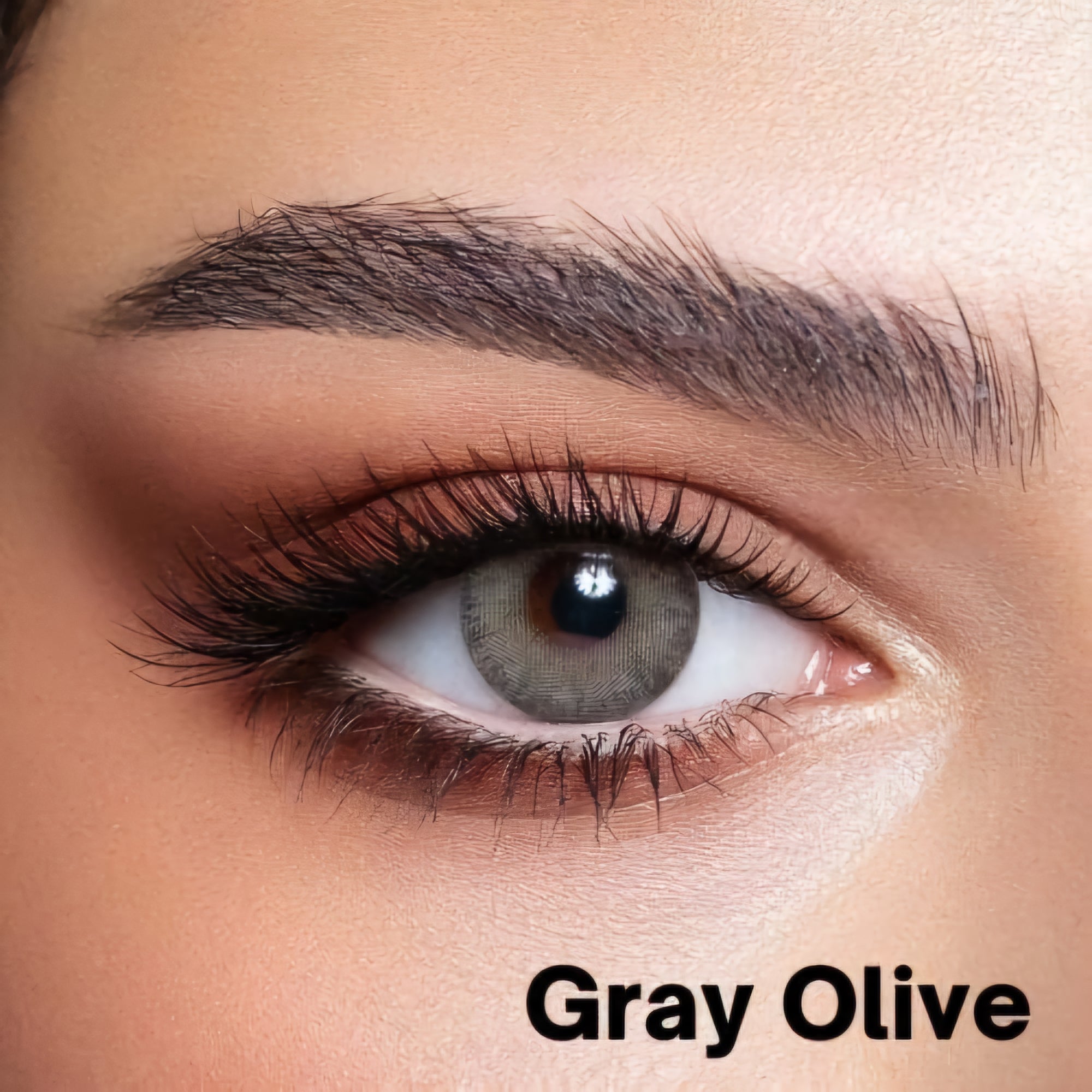BELLA ELITE GRAY OLIVE WITH KIT