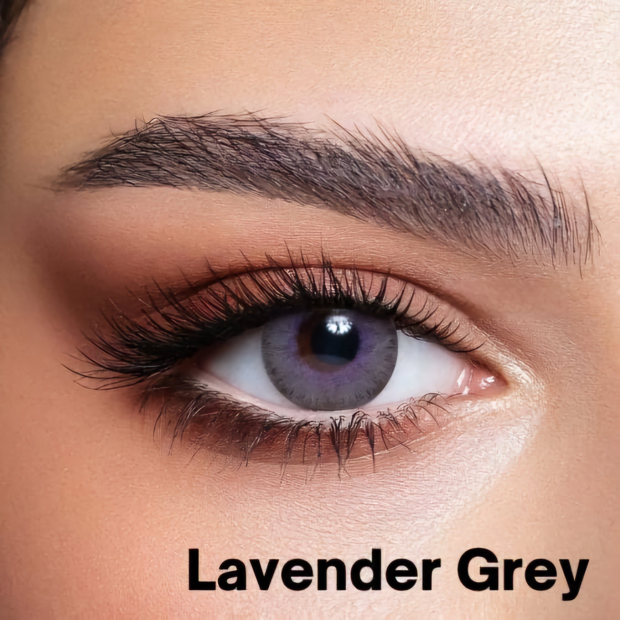 BELLA ELITE LAVENDAR GRAY WITH KIT